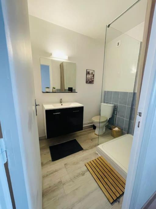 Bel Appartement Lumineux - 2 Voyageurs 르망 외부 사진